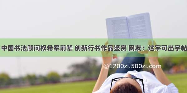 中国书法顾问权希军前辈 创新行书作品鉴赏 网友：这字可出字帖