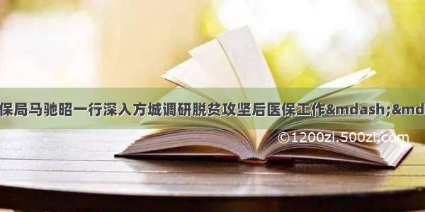 市医疗保障局：市医保局马驰昭一行深入方城调研脱贫攻坚后医保工作——明察暗访防止脱