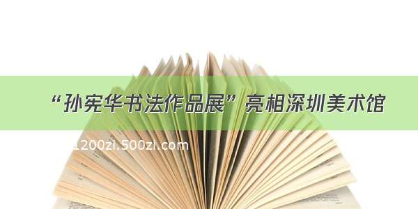 “孙宪华书法作品展”亮相深圳美术馆