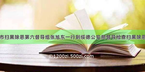 榆林市扫黑除恶第六督导组张旭东一行到绥德公安局督导检查扫黑除恶工作