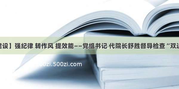 【作风建设】强纪律 转作风 提效能——党组书记 代院长舒胜督导检查“双进”等工作