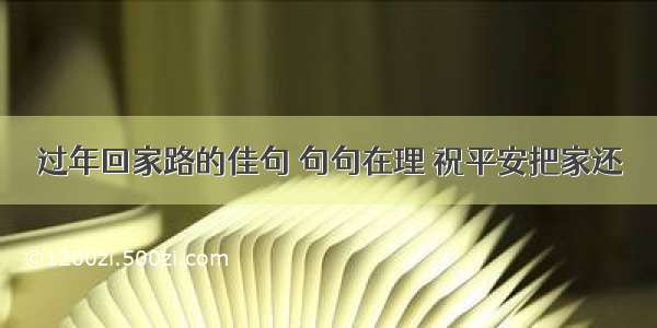 过年回家路的佳句 句句在理 祝平安把家还