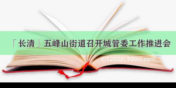 「长清」五峰山街道召开城管委工作推进会