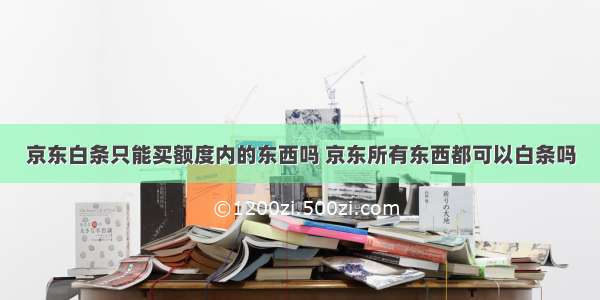 京东白条只能买额度内的东西吗 京东所有东西都可以白条吗