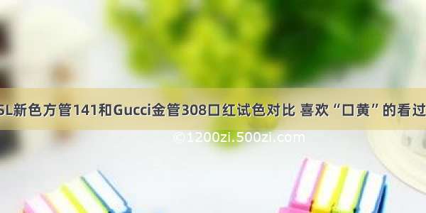 YSL新色方管141和Gucci金管308口红试色对比 喜欢“口黄”的看过来