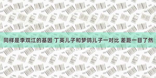 同样是李双江的基因 丁英儿子和梦鸽儿子一对比 差距一目了然