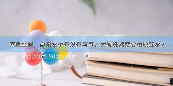 养鱼经验：自来水中有没有氯气？为何洗棉就要用原缸水？