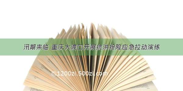 汛期来临 重庆大渡口开展抗洪抢险应急拉动演练