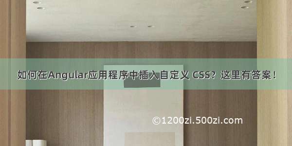 如何在Angular应用程序中插入自定义 CSS？这里有答案！