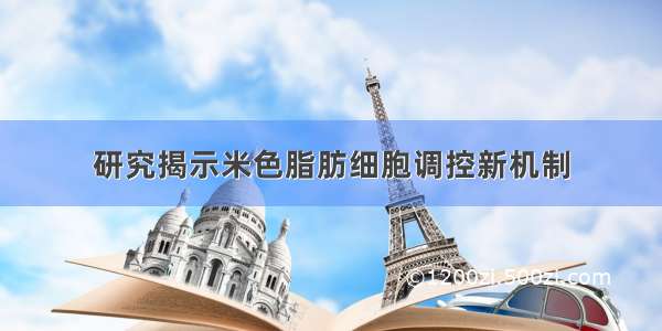 研究揭示米色脂肪细胞调控新机制