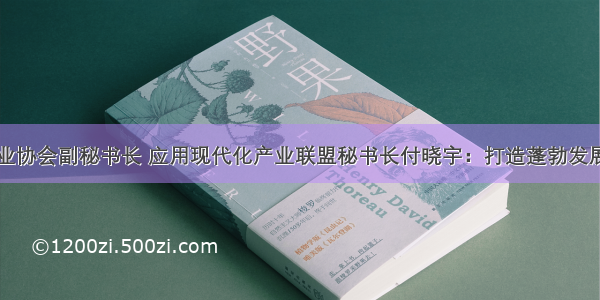 中国软件行业协会副秘书长 应用现代化产业联盟秘书长付晓宇：打造蓬勃发展的应用现代