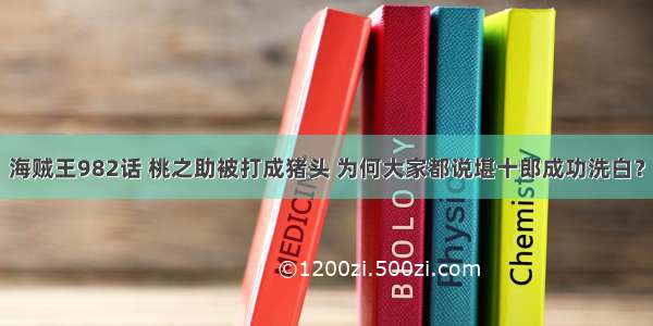 海贼王982话 桃之助被打成猪头 为何大家都说堪十郎成功洗白？