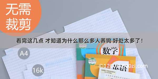 看完这几点 才知道为什么那么多人养狗 好处太多了！