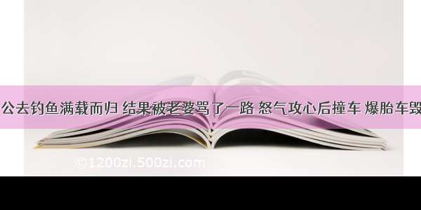 老公去钓鱼满载而归 结果被老婆骂了一路 怒气攻心后撞车 爆胎车毁…