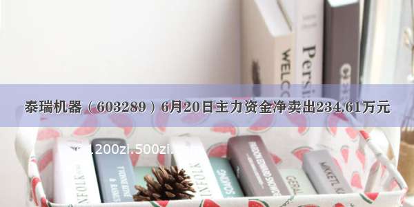 泰瑞机器（603289）6月20日主力资金净卖出234.61万元