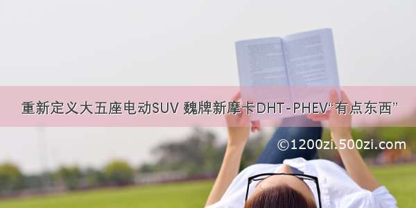 重新定义大五座电动SUV 魏牌新摩卡DHT-PHEV“有点东西”