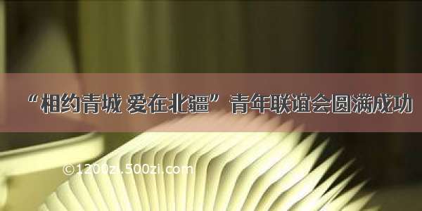 “相约青城 爱在北疆”青年联谊会圆满成功