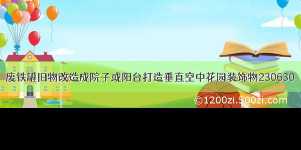 废铁罐旧物改造成院子或阳台打造垂直空中花园装饰物230630