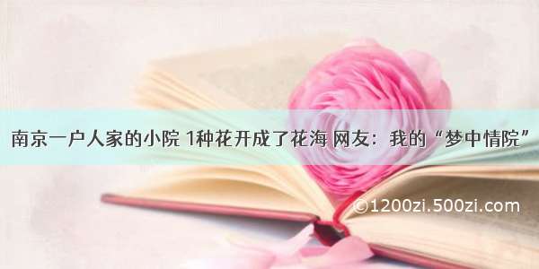 南京一户人家的小院 1种花开成了花海 网友：我的“梦中情院”