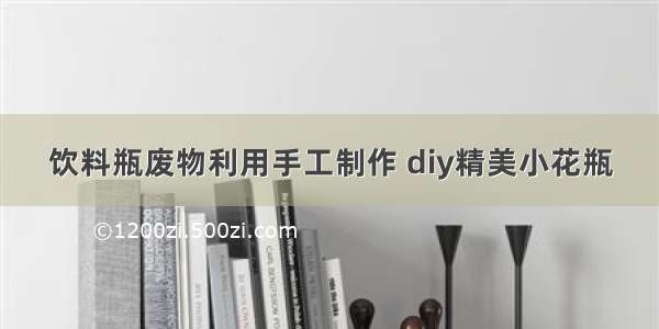 饮料瓶废物利用手工制作 diy精美小花瓶