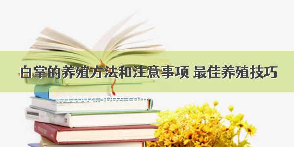 白掌的养殖方法和注意事项 最佳养殖技巧