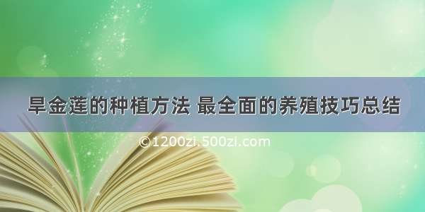 旱金莲的种植方法 最全面的养殖技巧总结