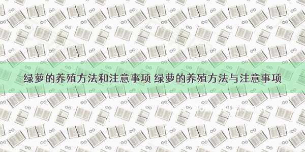 绿萝的养殖方法和注意事项 绿萝的养殖方法与注意事项