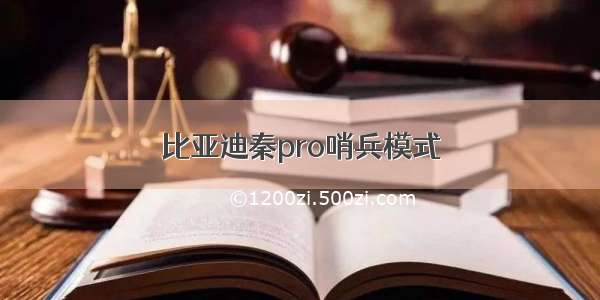 比亚迪秦pro哨兵模式