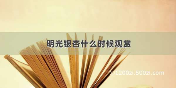 明光银杏什么时候观赏