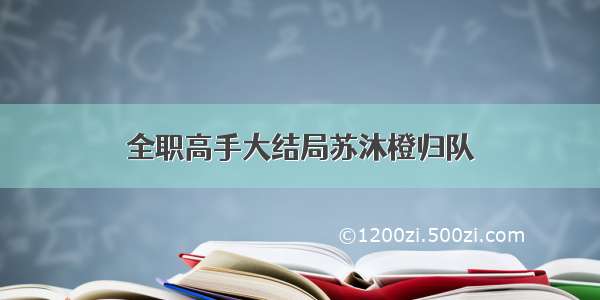 全职高手大结局苏沐橙归队