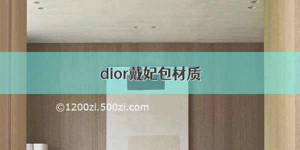 dior戴妃包材质