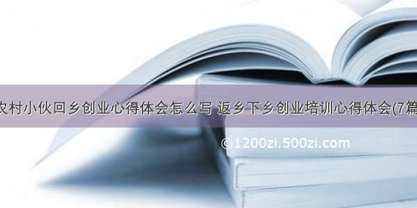 农村小伙回乡创业心得体会怎么写 返乡下乡创业培训心得体会(7篇)