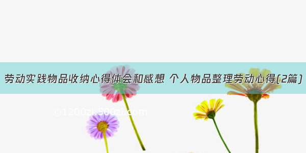 劳动实践物品收纳心得体会和感想 个人物品整理劳动心得(2篇)