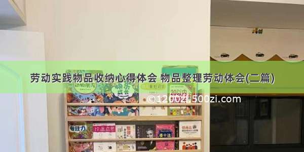 劳动实践物品收纳心得体会 物品整理劳动体会(二篇)