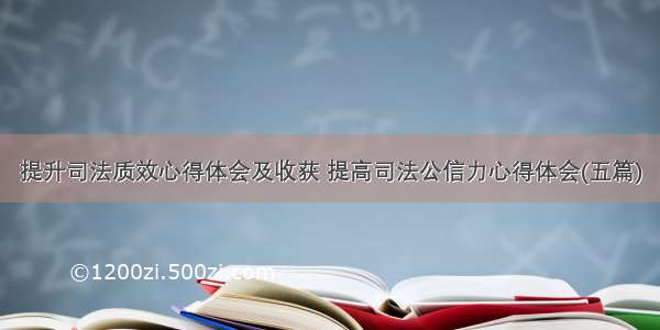 提升司法质效心得体会及收获 提高司法公信力心得体会(五篇)