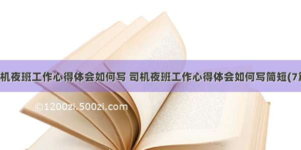 司机夜班工作心得体会如何写 司机夜班工作心得体会如何写简短(7篇)