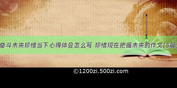 奋斗未来珍惜当下心得体会怎么写 珍惜现在把握未来的作文(5篇)