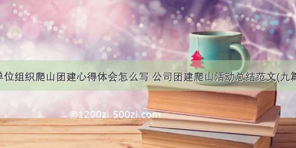 单位组织爬山团建心得体会怎么写 公司团建爬山活动总结范文(九篇)