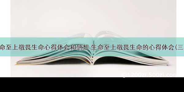 生命至上敬畏生命心得体会和感想 生命至上敬畏生命的心得体会(三篇)