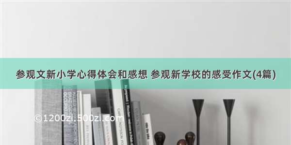 参观文新小学心得体会和感想 参观新学校的感受作文(4篇)