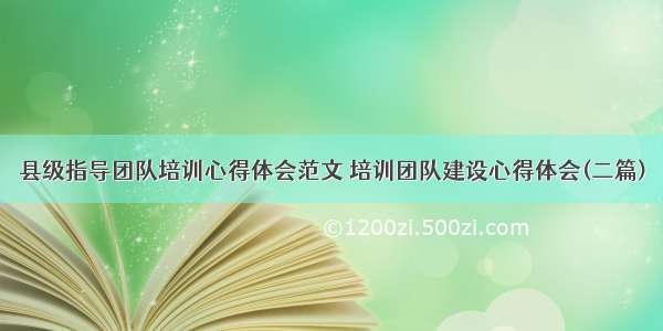 县级指导团队培训心得体会范文 培训团队建设心得体会(二篇)