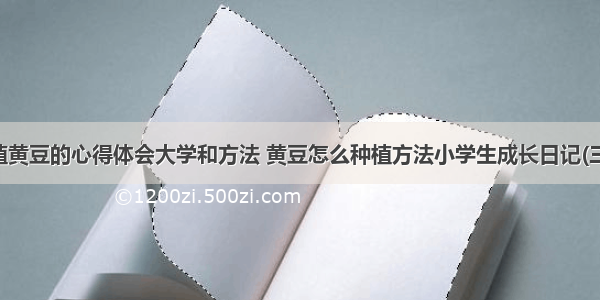 种植黄豆的心得体会大学和方法 黄豆怎么种植方法小学生成长日记(三篇)