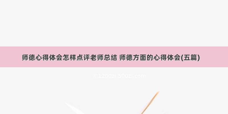 师德心得体会怎样点评老师总结 师德方面的心得体会(五篇)