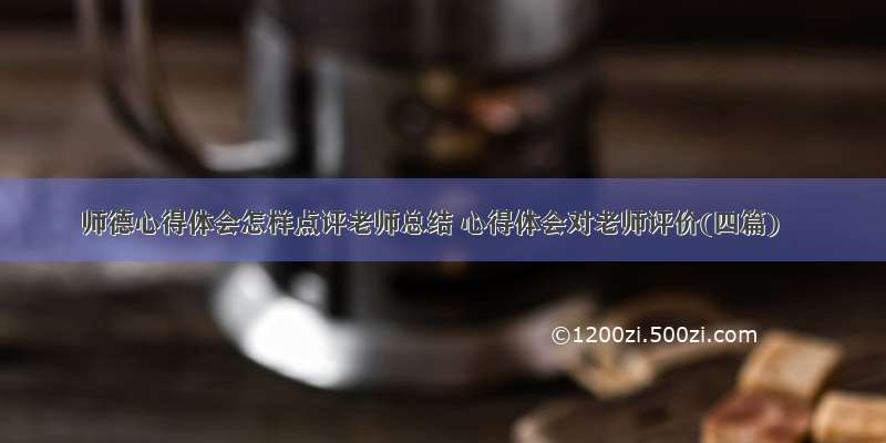 师德心得体会怎样点评老师总结 心得体会对老师评价(四篇)