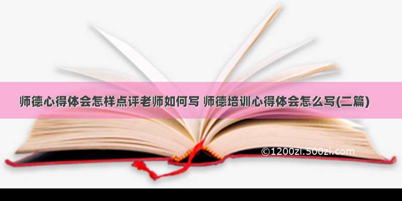 师德心得体会怎样点评老师如何写 师德培训心得体会怎么写(二篇)