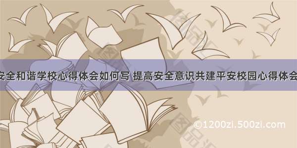 共建安全和谐学校心得体会如何写 提高安全意识共建平安校园心得体会(5篇)