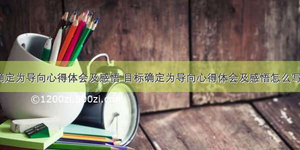 目标确定为导向心得体会及感悟 目标确定为导向心得体会及感悟怎么写(三篇)