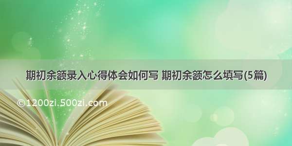 期初余额录入心得体会如何写 期初余额怎么填写(5篇)