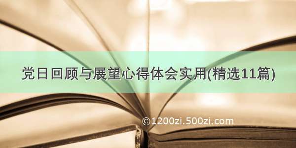 党日回顾与展望心得体会实用(精选11篇)