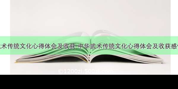 中华武术传统文化心得体会及收获 中华武术传统文化心得体会及收获感悟(9篇)